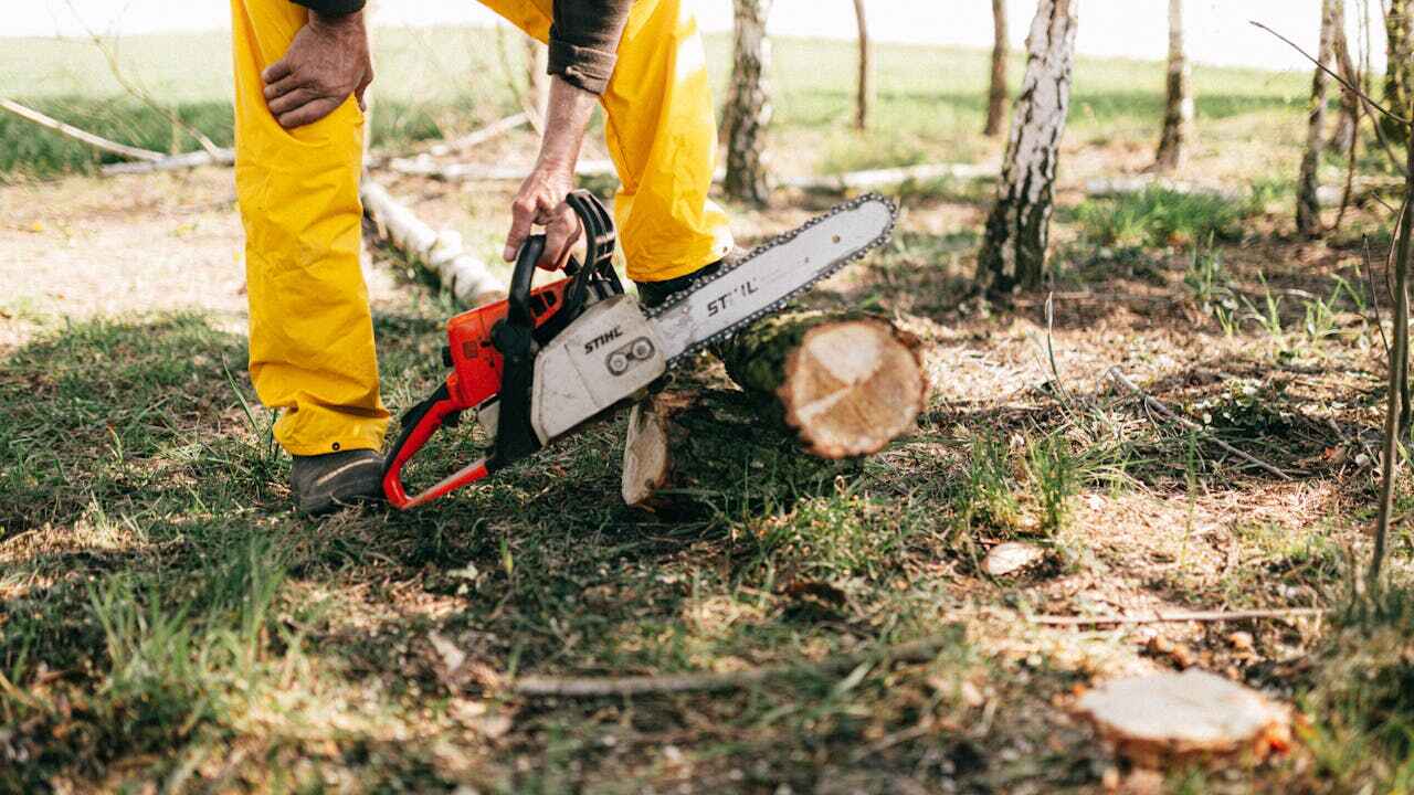 Best Tree Pruning Services  in Monmouth Beach, NJ